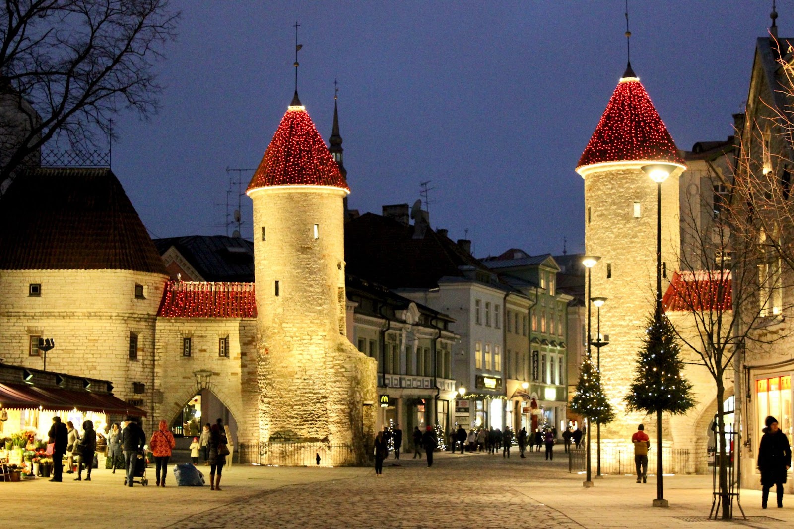 The Pros and Cons of Living in Estonia for Digital Nomads Residency