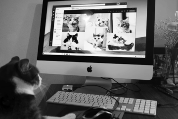 train IT remote service coordinators